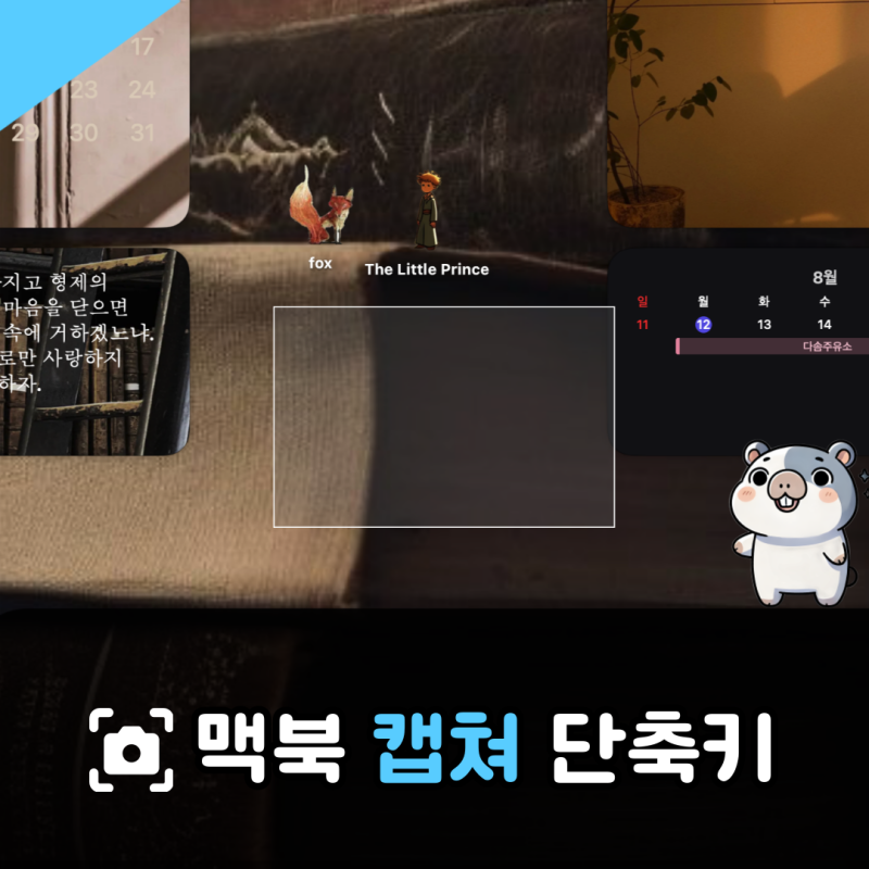 맥북  캡처 단축키 총정리: 전체 화면, 부분캡쳐, 저장 위치까지