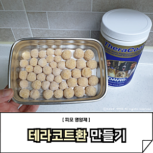 강아지 원숭이 시기 털갈이할 때 피모영양제 테라코트환 만들어요