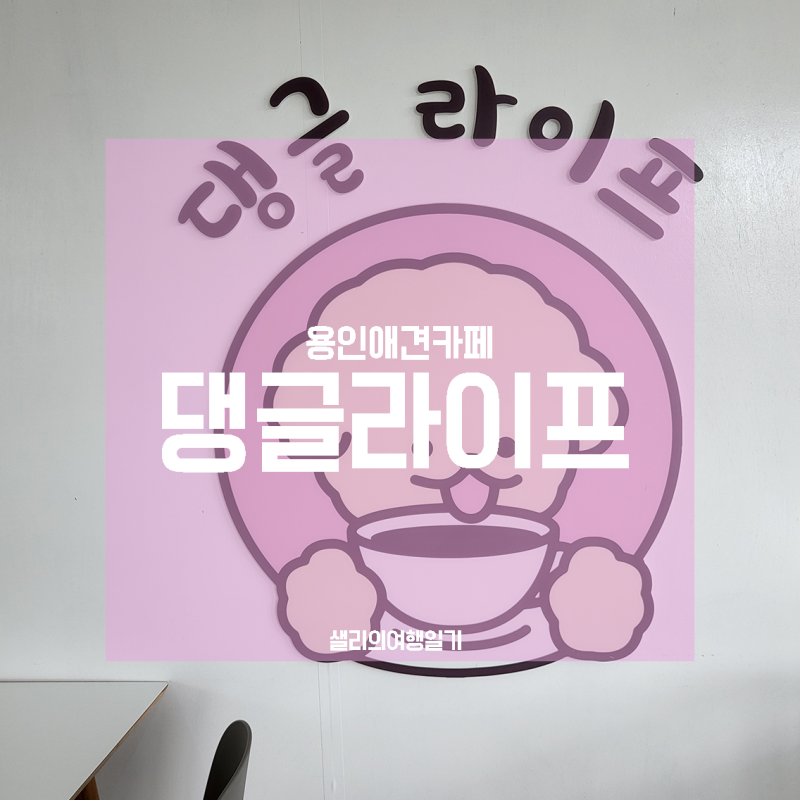 사진 5