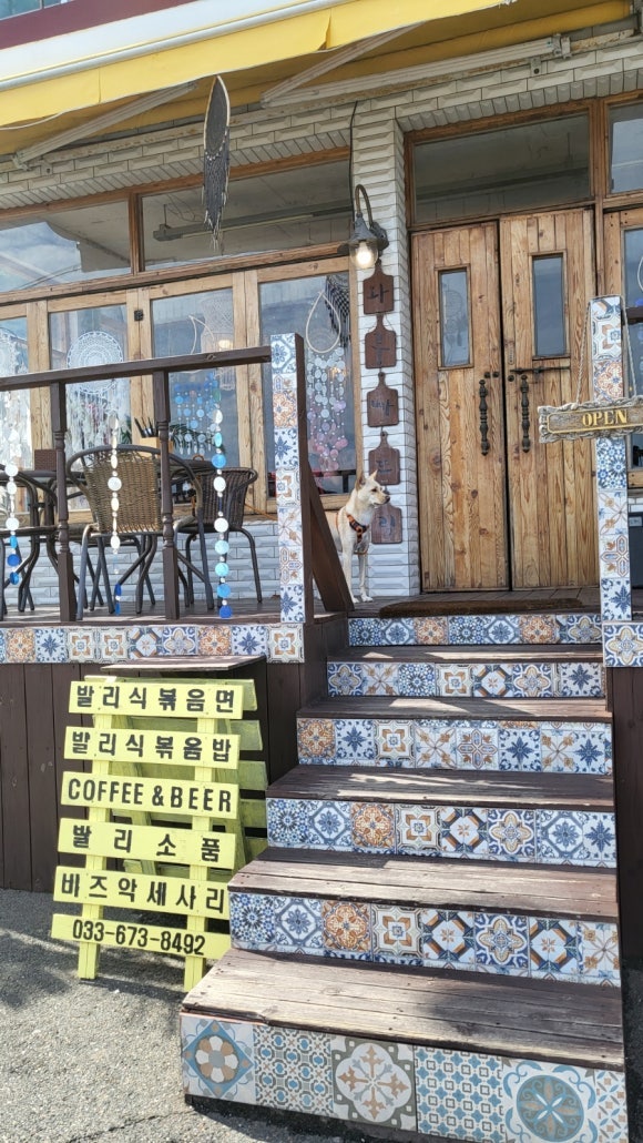 사진 4