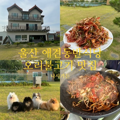 나사가든