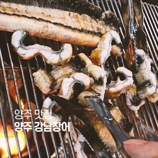  의정부 양주 장어맛집 '강남장어' 말복 음식