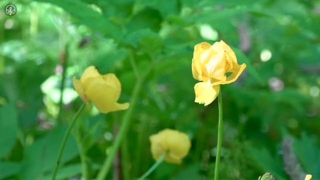  교통사고분석사 , 자격증 취득방법