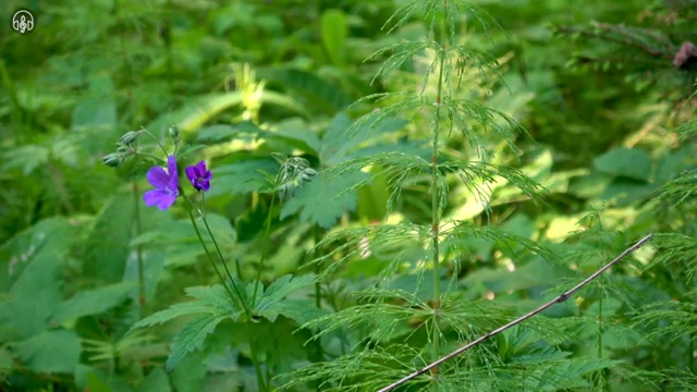  수산물품질관리사 자격증 , 편하게 성공한 팁