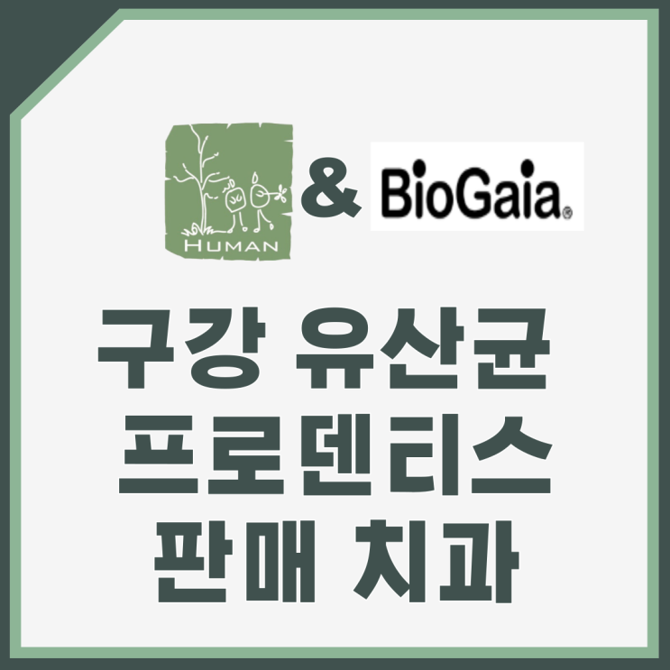  구강 유산균 프로덴티스 판매 치과 #성남 사람과치과