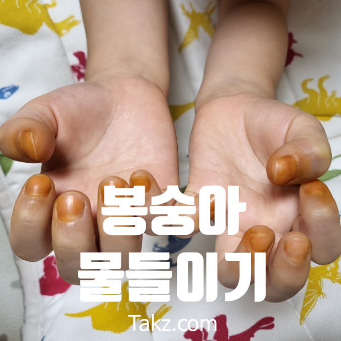  유치원생 딸아이 봉숭아 물들이기 성공 후기