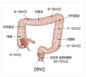  연재 7. 변비
