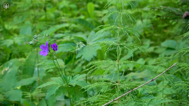  깨끗한 음식물 처리기 원하신다면 반드시 확인해보세요