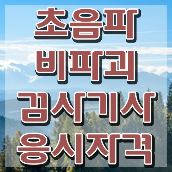  초음파비파괴검사기사 합격 초음파비파괴검사기사 시험응시자격 독학으로 15주만에 완료한 비법
