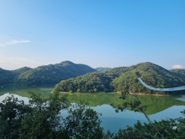  충북 진천 농다리 구경+미르숲 맨발 황톳길 걷기