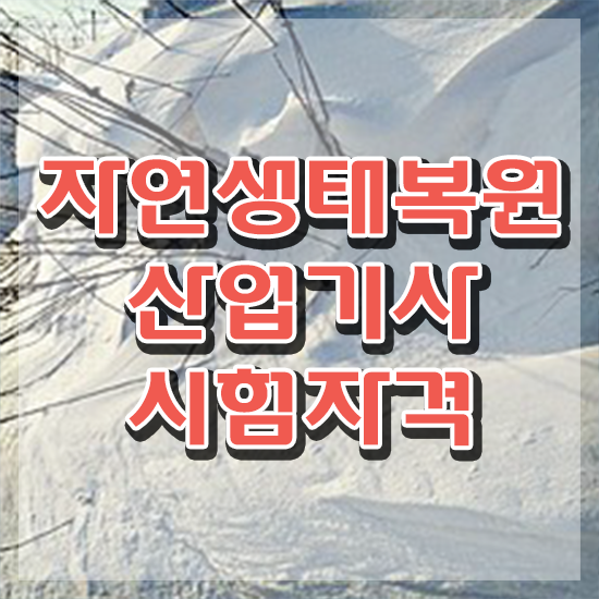  자연생태복원산업기사 취득자격 온라인 수업으로 15주만에 완료한 비법
