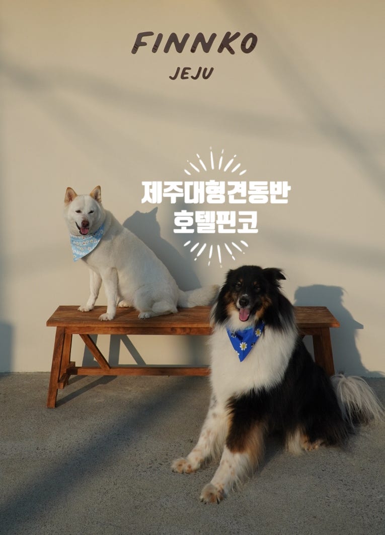 사진 11
