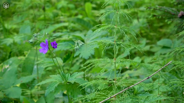  사회복지자격증관리 , 사회복지사 고졸도 온라인으로 빠르게