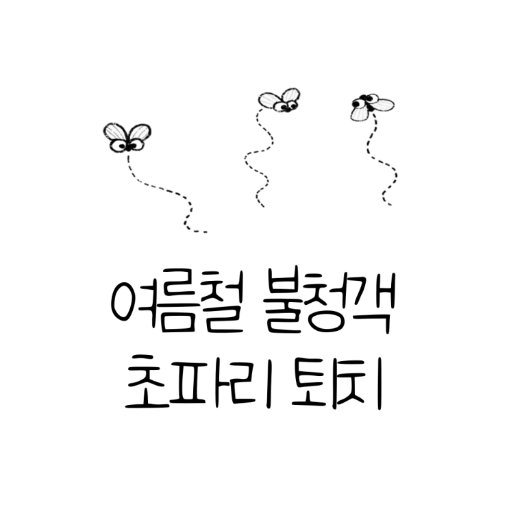  초파리퇴치법ㅣ초파리 없애는 법 초파리 리스테린 과연 효과있을까