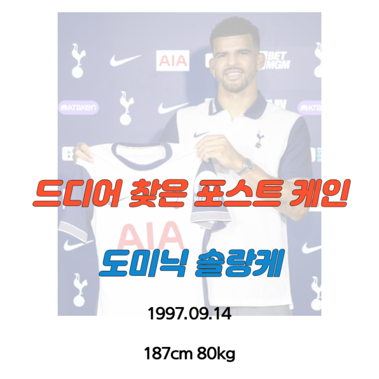 [<b>토트넘</b> 여름<b>이적</b>시장... 해리 <b>케인</b>, 도미닉 솔란케(Dominic... 