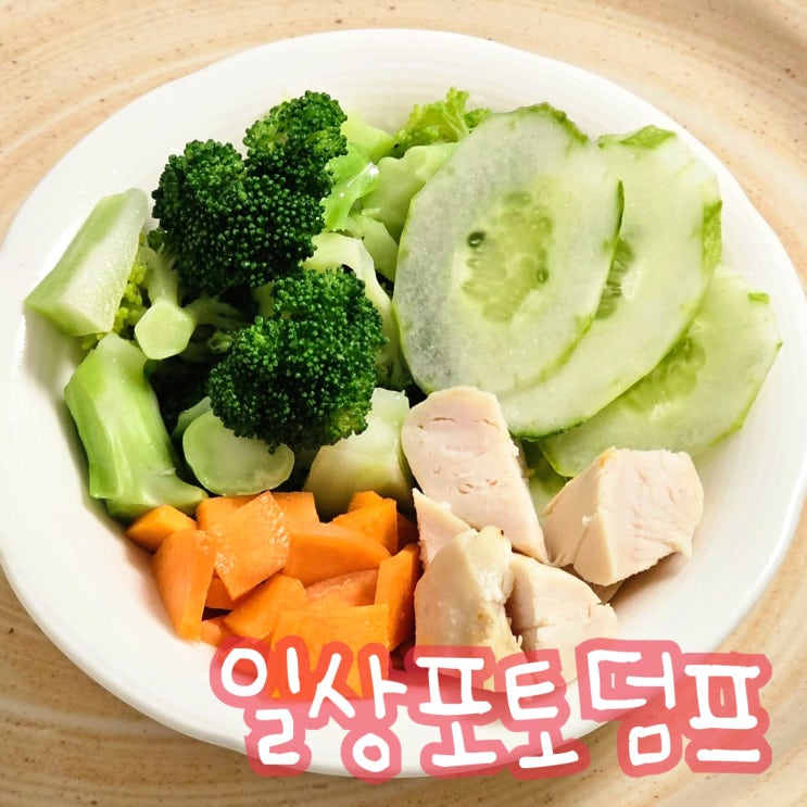  블로그가 조금 힘들어진 블로그 챌린지 일상 포토덤프