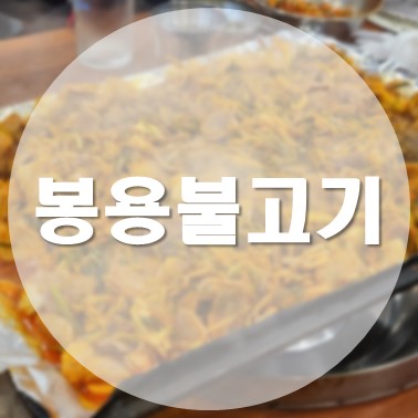  [국내/청주] 풍자의 또간집 청주 편 1등 식당 파 불고기 맛집 봉용불고기