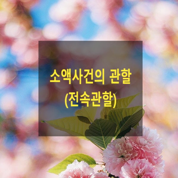  소액사건의 관할(전속관할, 직무관할, 3,000만원)