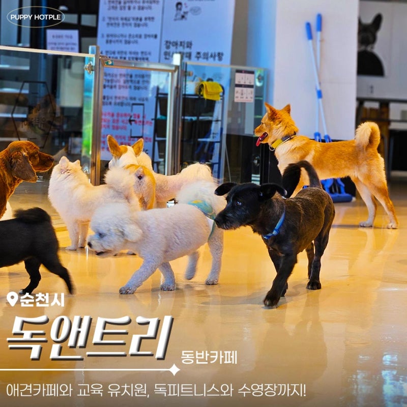 사진 4