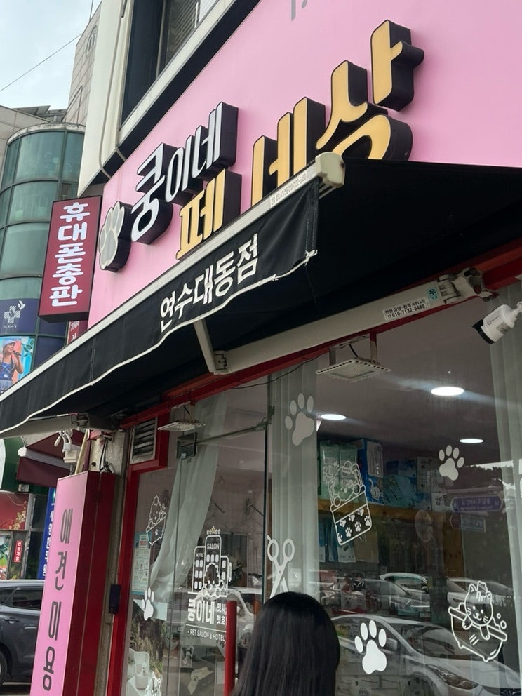 사진 2