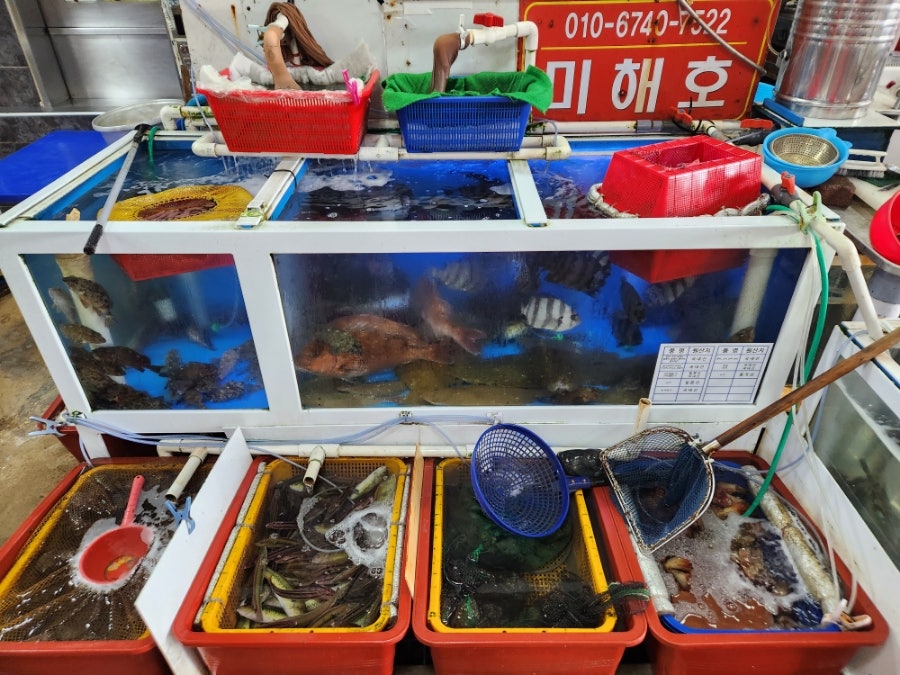미해호 사진 2