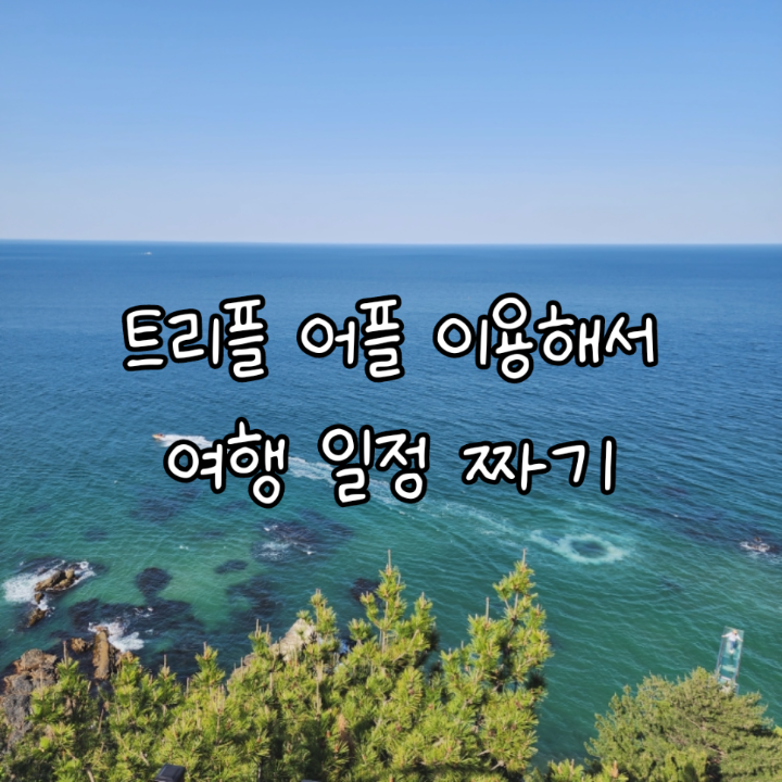  어플 트리플 이용해서 여행 계획 짜기 가계부 기능까지