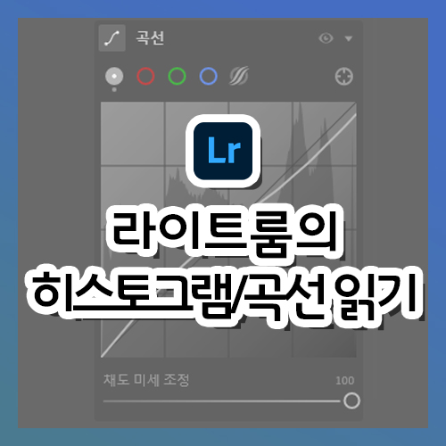  [라이트룸 강의] 히스토그램과 곡선 읽는 법
