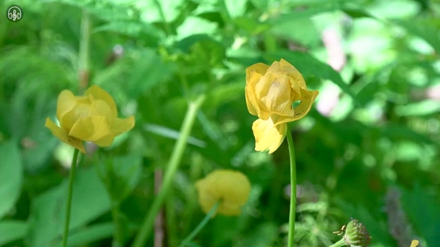  수산물 품질관리사 자격증 , 합격 전략