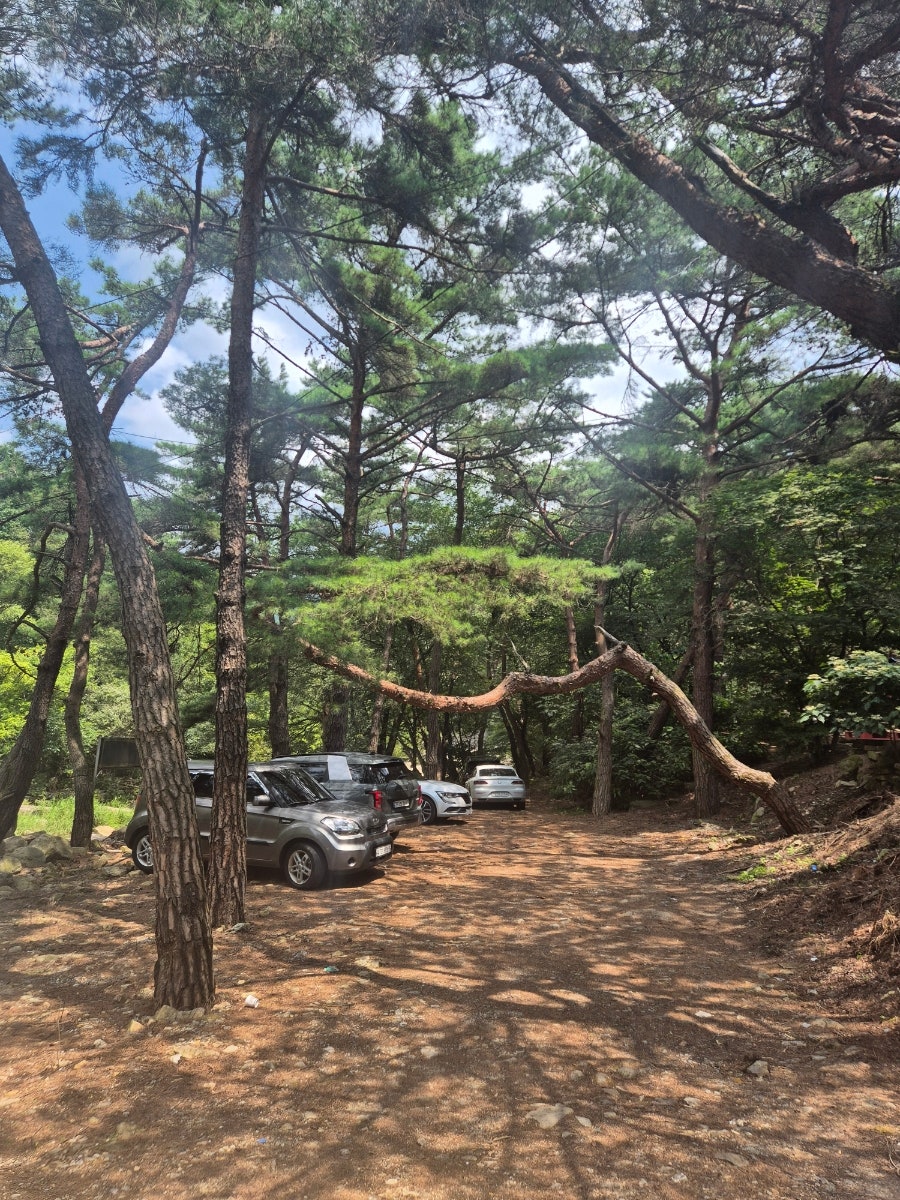 고무서리펜션 사진 3