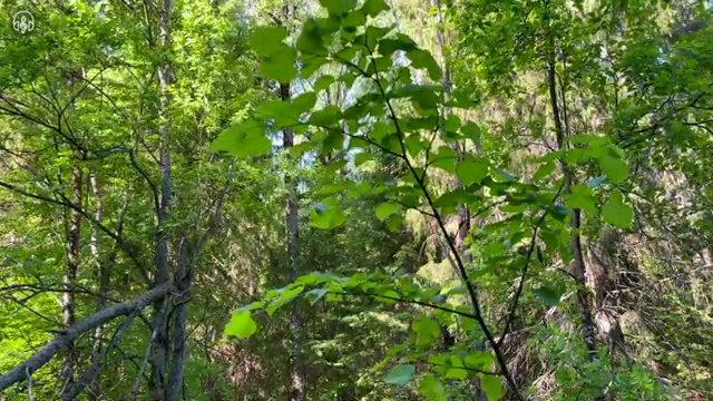 수산물품질관리사 자격증 , 간편하게 준비하는 전략