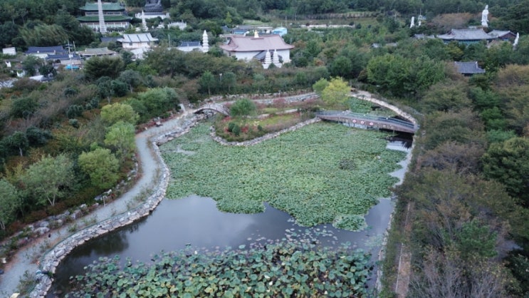  전남 강진군 임(林)과 함께 3일 살기 - 여행지원금