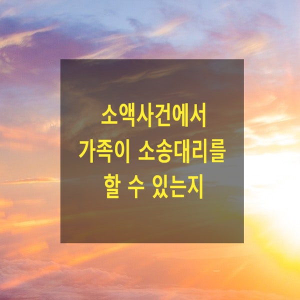  소액사건에서 가족이 소송대리를 할 수 있는지(이행권고, 이의)