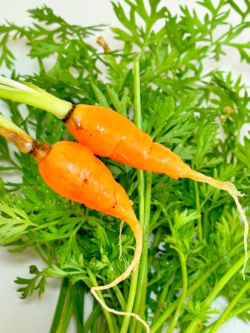 낭만토크] #6 CEO STAFF, image size:800x1067