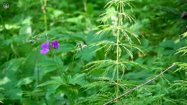  인터넷전화기 교체 , 사은품 한번에 요약해서 알려드려요