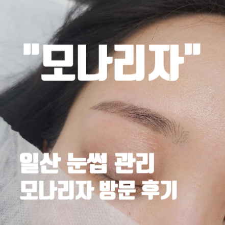  일산 모나리자 눈썹 왁싱 및 관리 후기