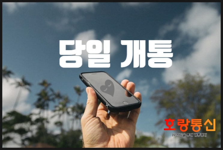 모두의 유심 원칩 판매처 및 개통 방법 모두의 유심 원칩 판매처 및 개통 방법
