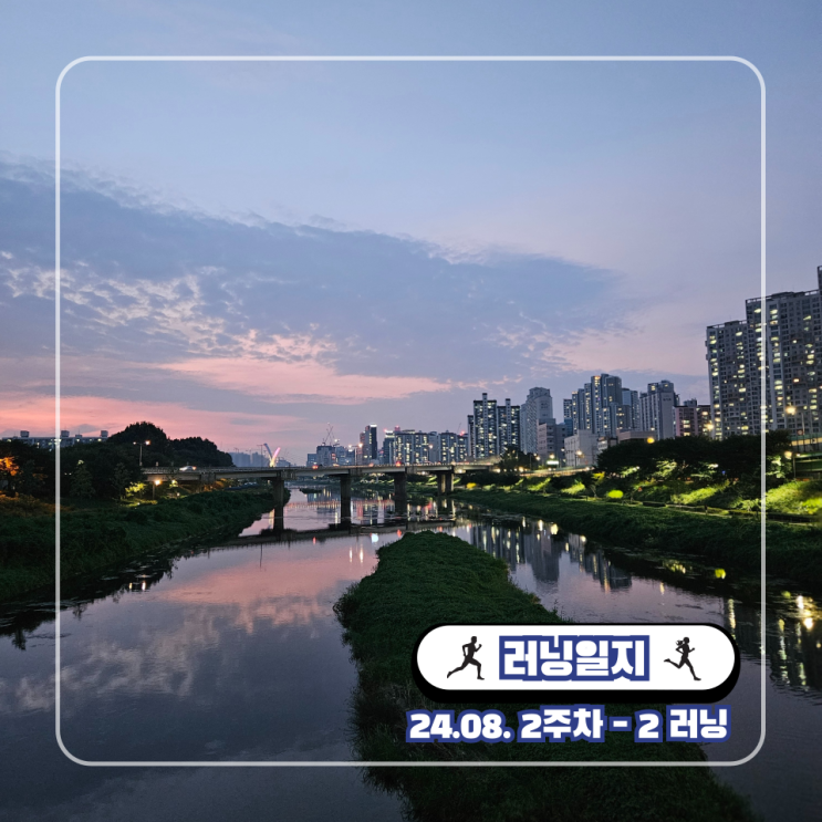  공주백제마라톤 대회 취소와 손기정 평화마라톤 재도전 접수