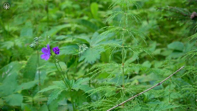  수산물품질관리사 자격증 , 빠르게 따는 법