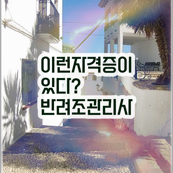  코뉴어 앵무새 키우기 , 반려조관리사 자격증 독학으로 합격한 팁 및 향후 전망