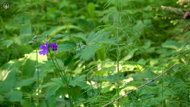  수산물품질관리사 자격증 , 단기간에 준비한 팁