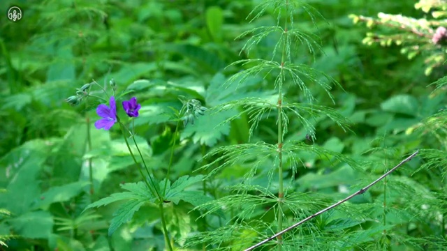  사회복지사학과 . 사회복지사 고졸자도 학은제 활용하여 간단하게