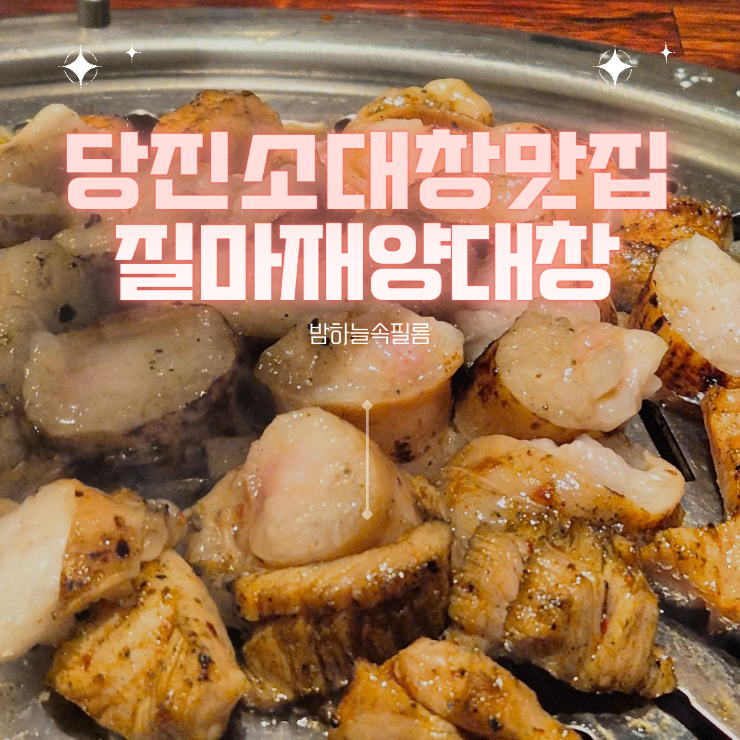  당진 특양구이 대창구이 소대창 전문점 - "질마재양대창"