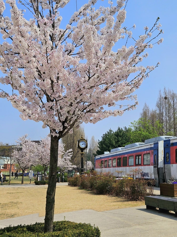  24.04 | 알바를 시작한 산뜻한 봄