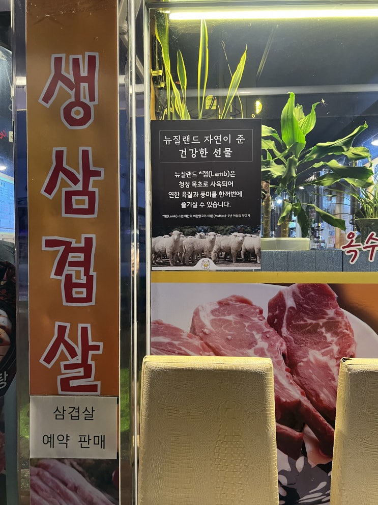  서울 양갈비 맛집 장안양꼬치 옥수수 직화구이 방문 후기