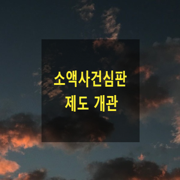  소액사건심판(3000만원, 구술 소제기, 임의출석, 이의신청, 확정, 배우자, 직계혈족, 형제자매, 분할 청구)