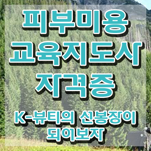  피부미용필기 , 피부미용교육지도사 자격증 1급,2급 동시에 취득한 방법 , 활용 방법