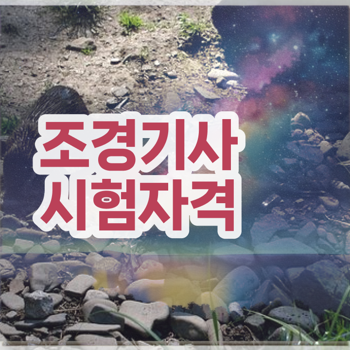  산림기사 조경기사 조경기사 자격요건 인강만 듣고 반 년만에 끝낸 비법