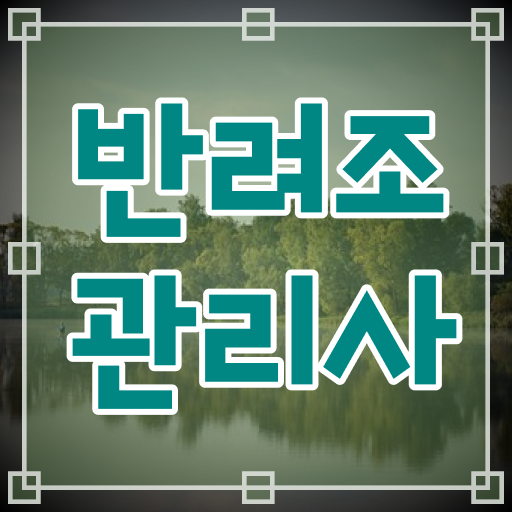  말하는 앵무새 가격 , 반려조관리사 자격증 간단하게 취득했던 후기 정보를 알고싶다면