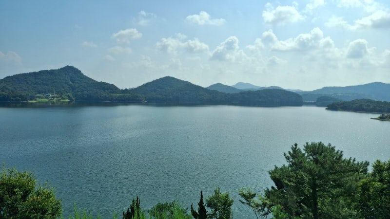 사진 5