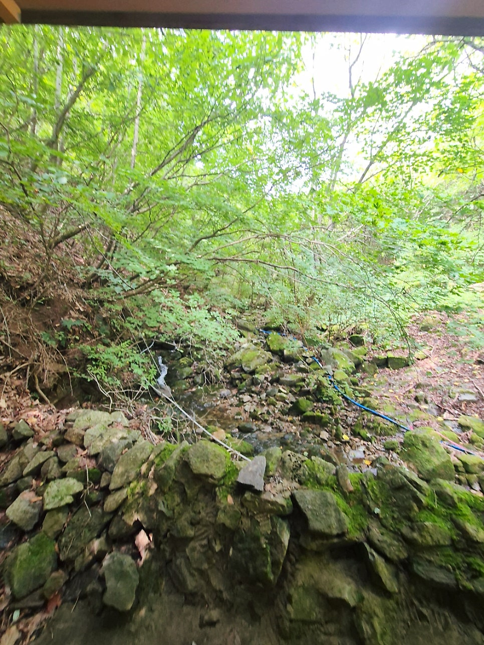 Bamgol photo 2